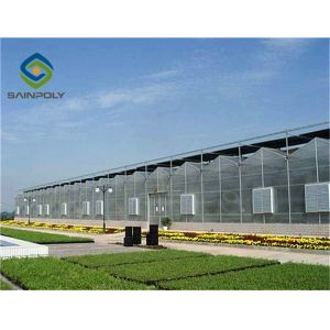 1.2 G/m3 Mult Span Polycarbonate Sheet Greenhouse