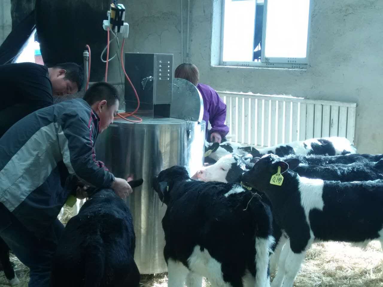 200L Electric Juvenile Bovine Milk Feeder with 15 Rubber Nipple Sucking