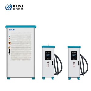 China CCS1/CCS2 Interface Standard 320KW Commercial EV Charger for Fast Charging at KIWI DC on sale