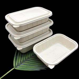 Customizable Compostable To Go Containers 380ml/500ml/650ml/750ml/1000ml