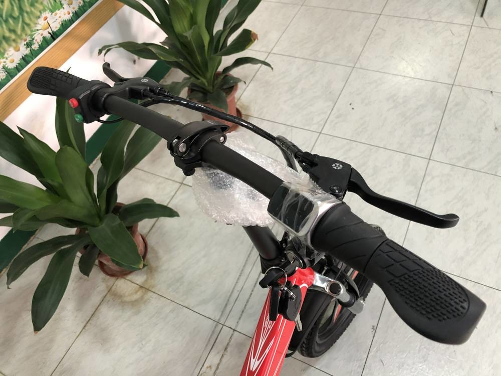 350w Folding Full Suspension Electric Bike P160 16 Inch 36v Lightweight 22.5kg RICHBIT