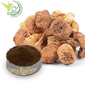  Polysaccharides Mushroom Organic Plant Extracts Agaricus Blazei Murill Extract 10% 20% 30% 40% Manufactures