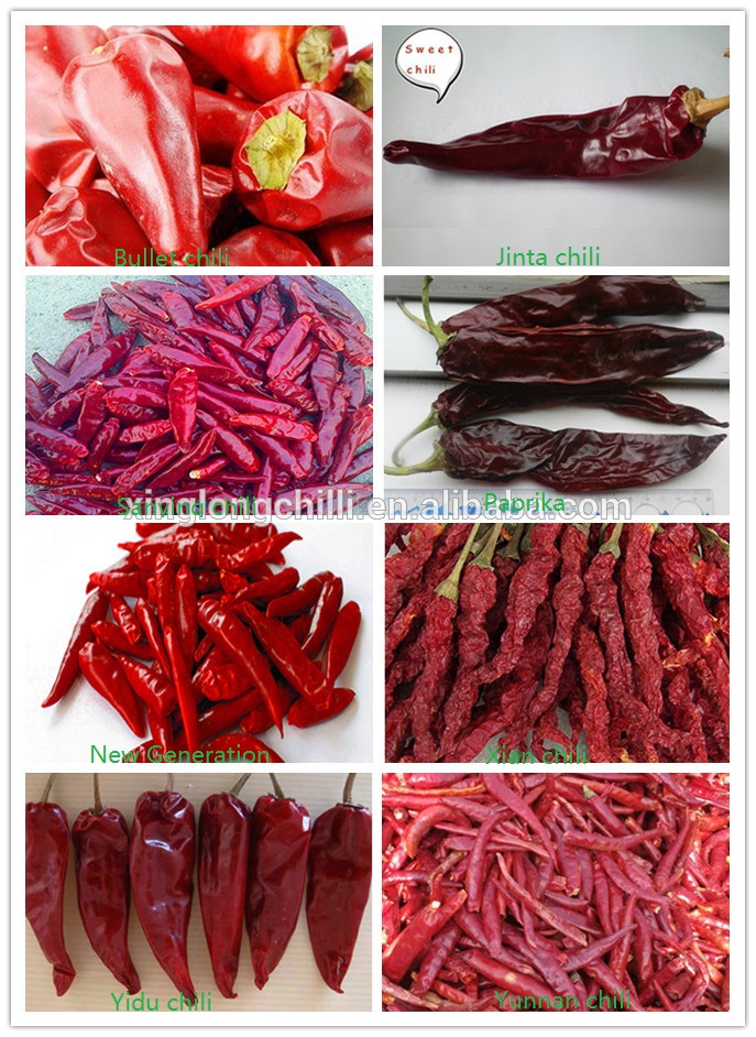 China chili factory Hot paprika pepper
