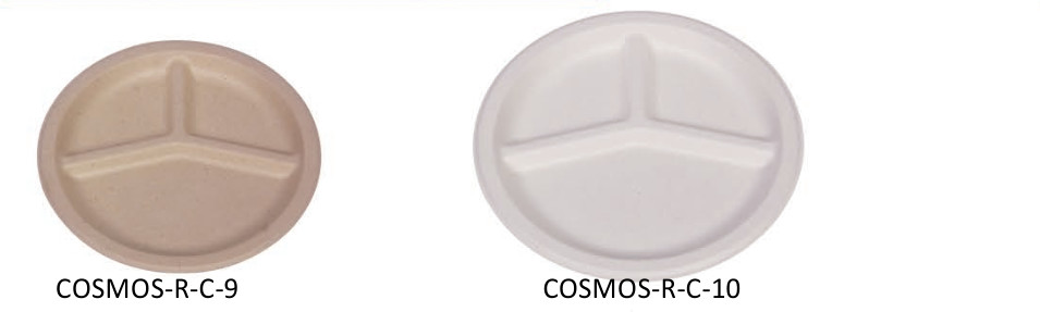 Disposable 10 Inch Compostable Biodegradable Sugarcane Bagasse Plates