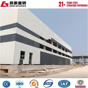  Large span steel structure industrial building factory workshop processed and manufactured in China Manufactures