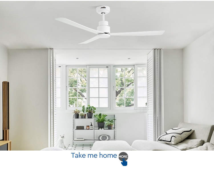 ceiling fan