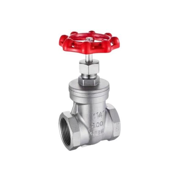 Water Oil Flow Gate Valve with BSPP End Connection and Sturdy Stainless Steel