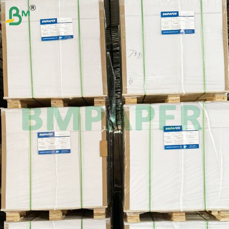 Food Safety 200+10GSM PE Coated Paper Sheets for Food Container