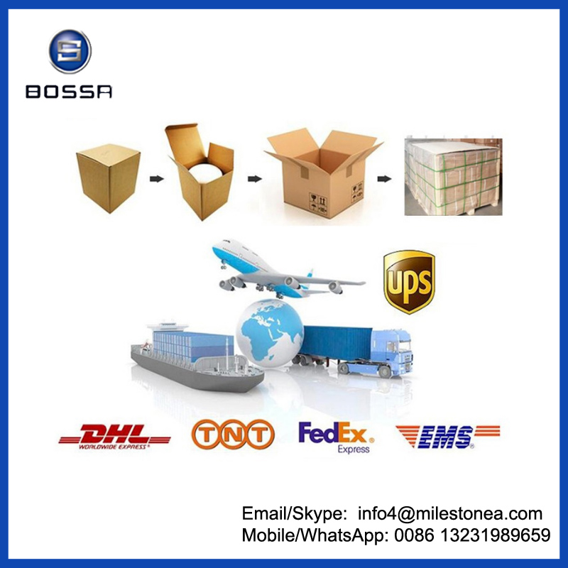 2022275 Lube Car Oil Filter Customized 1742032 1742037 2037556 2022275