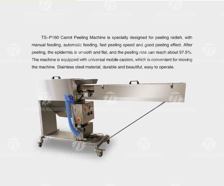 Automatic Stainless Steel Carrot Peeling Machine 0.1kw Food Processing Line
