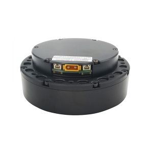 Faradyi 12V 24V Low rpm Brushless dc Worm Planetary Gear Hub Motor with Encoder