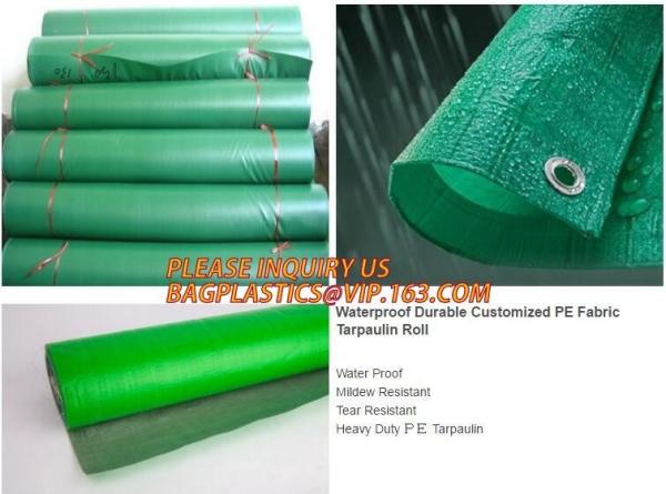 Waterproof PE Tarpaulin Roll,Low Price Durable Outdoor Waterproof PE Tarpaulin