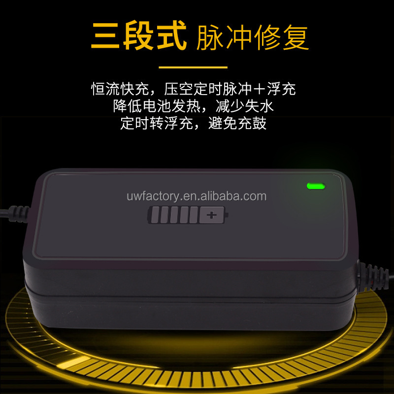 Intelligent Lead Acid Lithium Battery Charger 12v 24v 10A 20A 30A for Electric Vehicle and Car Battery Charging System
