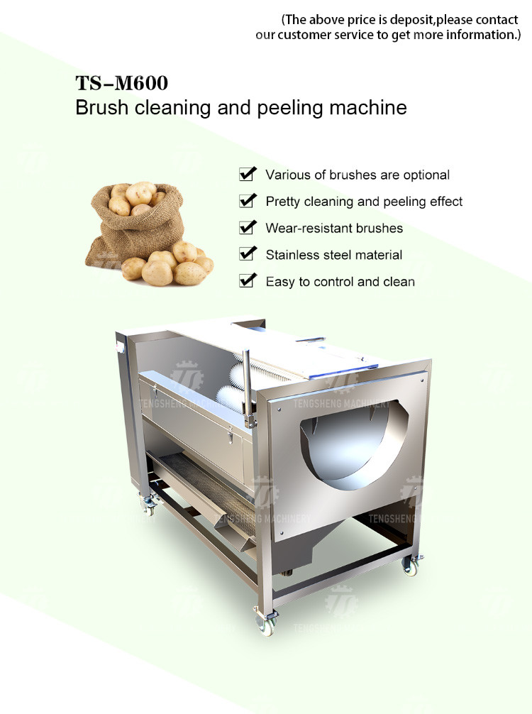 250KG Carrot Brush Cleaning And Peeling Machine Brush Cleaning Machine