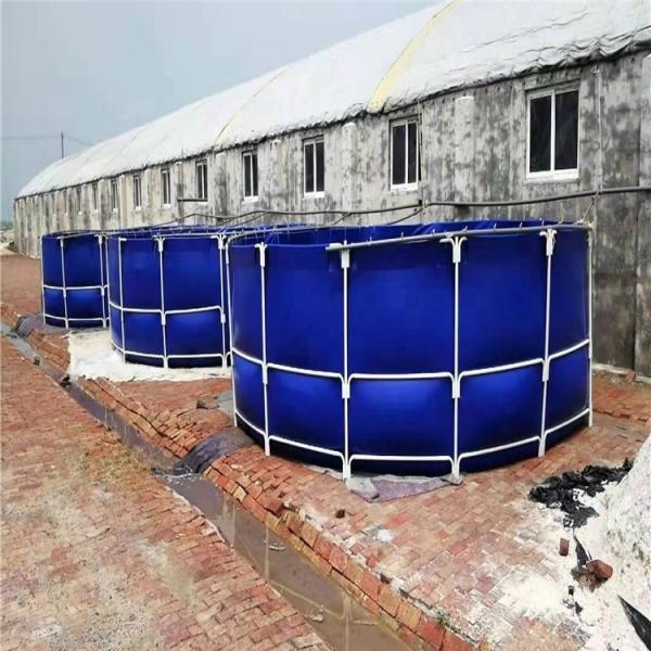Life Span 3-15 Years BLACK Steel Frame PVC HDPE Tank for Indoor Fish Farm Square
