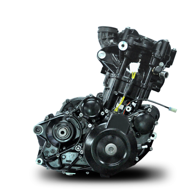 LIFAN/ZONGSHEN/LONCIN/DAYANG 652 Cm3 Motorcycle Engine Water Cooled 4 Stroke EFI DOHC