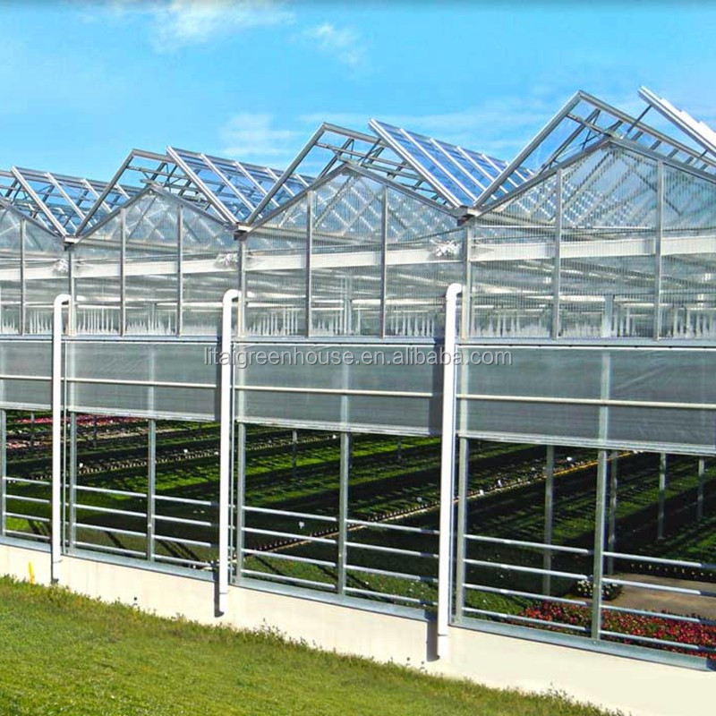 Greenhouse Plastic Sheet/PC Sheet Greenhouse with Stable Structure and Vents