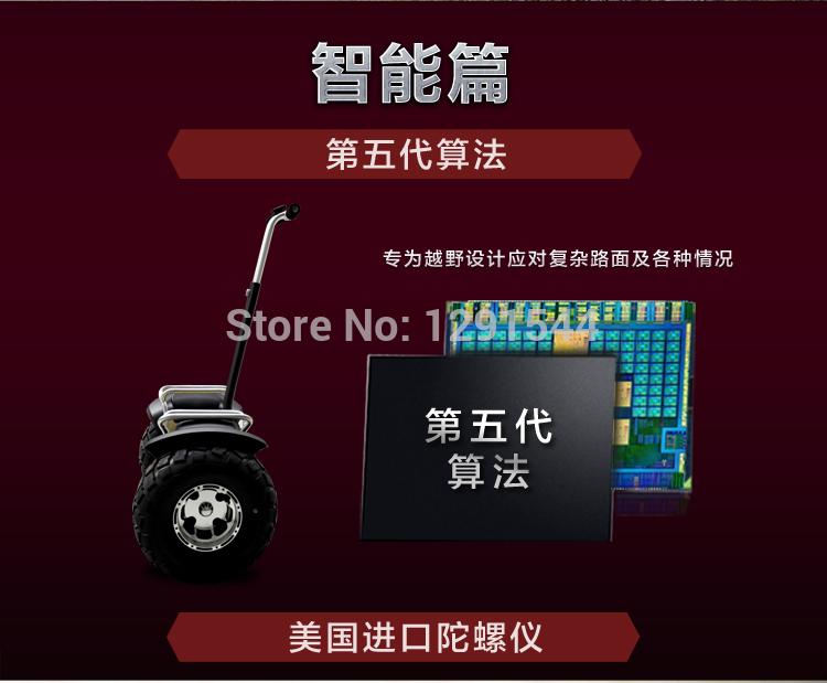 China Electric Scooter factory Manufacturer Supplier Self Balancing Two Wheel Segway Big Wheel Scooter