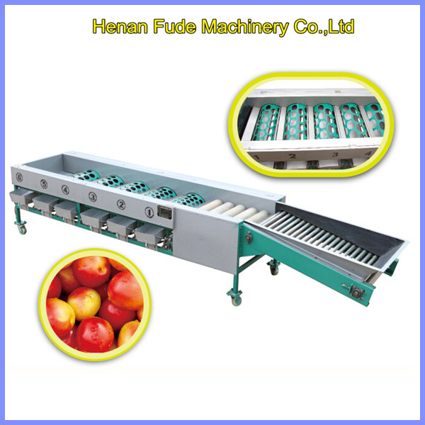  Nectarine cleaning and grading machine, nectarine cleaning sorting machine Manufactures