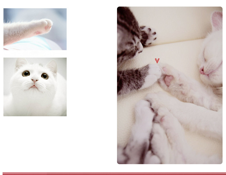Lightweight Cat Paw Mouse Pad , Gel Wrist Mouse Pad Elegant Look