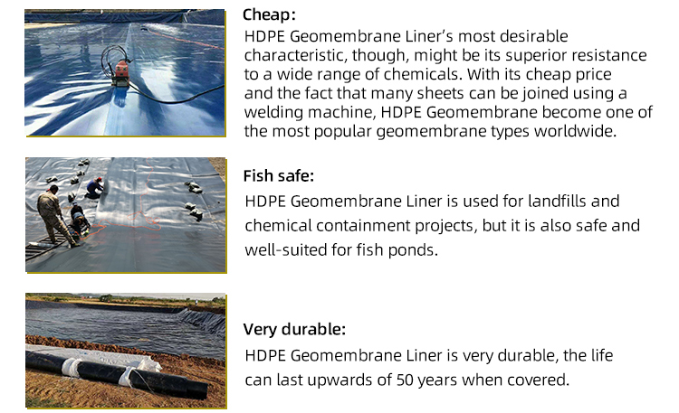 Chinese Geomembrane Impermeable Fish Pond Shrimp Pond Cistern Waterproof Membrane