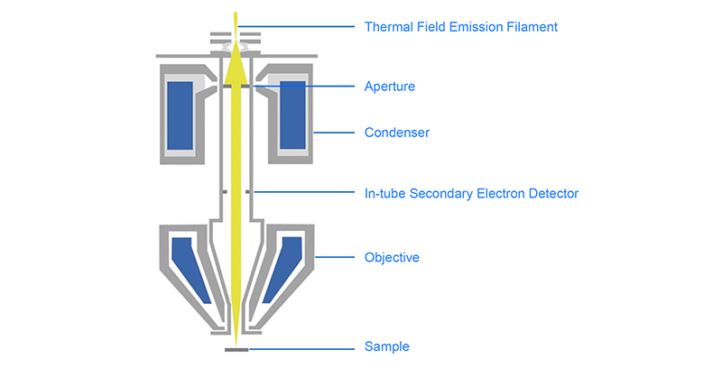Opto Edu A63.7088 Schottky Field Emission Gun Scanning Electron Microscope SE+CCD 1x~2000000x