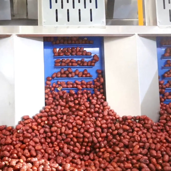 Smart Machines Sort All Kinds Of Dates 12 Lanes Dates Sorting Machine