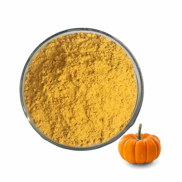 Quality Healthy Foods Dehydrated Dried Pumpkin Powder With ISO Certification for sale