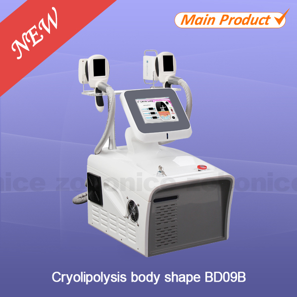 8“TFT Touch Sreen Cryolipolysis Slimming Machine Two Handles For Fat Dissolved