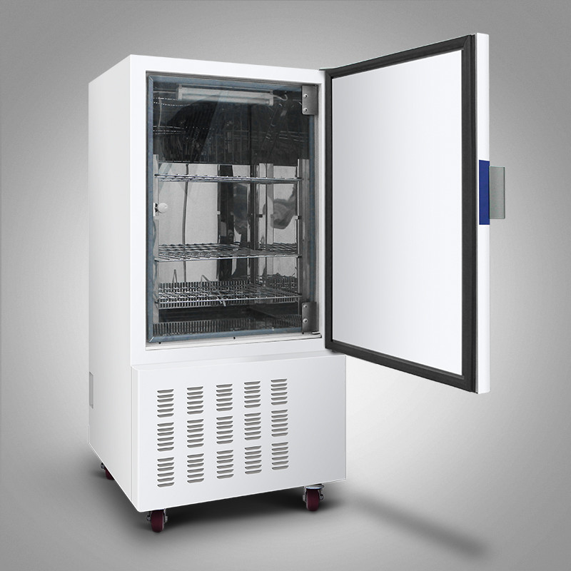Lab Biological Cooling Incubator 150L Microorganism Incubator Chamber
