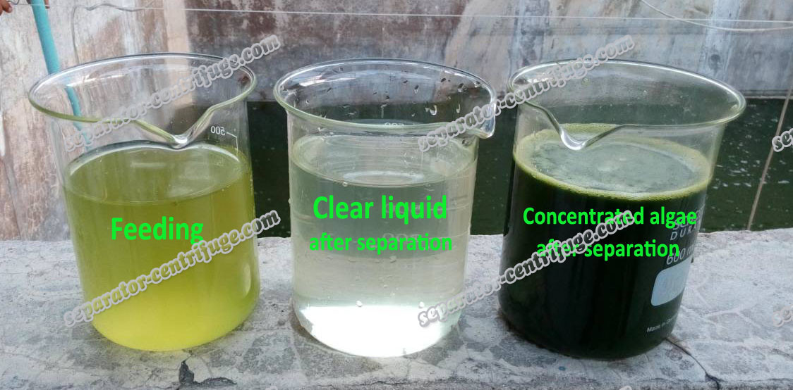 Liquid Chlorella Disc Stack Centrifuges Concentration Equipment For Algae 2 Phase