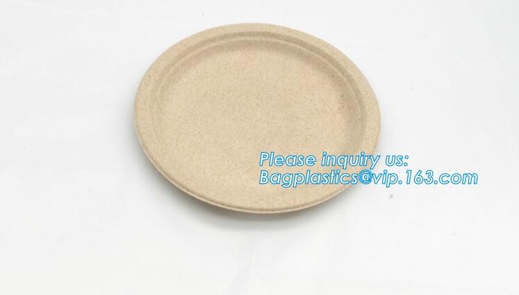 Meal Prep Containers Free Sample Bento Lunch Box Biodegradable Food Container Plastic Wheat Straw Lunch Box bagplastics
