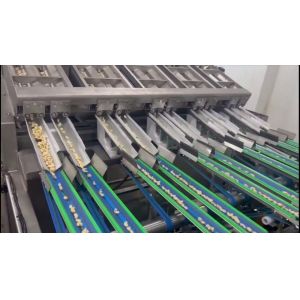 China Automatic Cashew Color Sorter with Chain Conveyor, 360-Degree Nut Rotation, and Computer-Controlled Defect Detection on sale China Automatic Cashew Color Sorter with Chain Conveyor, 360-Degree Nut Rotation, and Computer-Controlled Defect Detection on sale