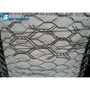 Hexagonal Wire Mesh/Hexagonal Wire Netting/Gabion Mesh