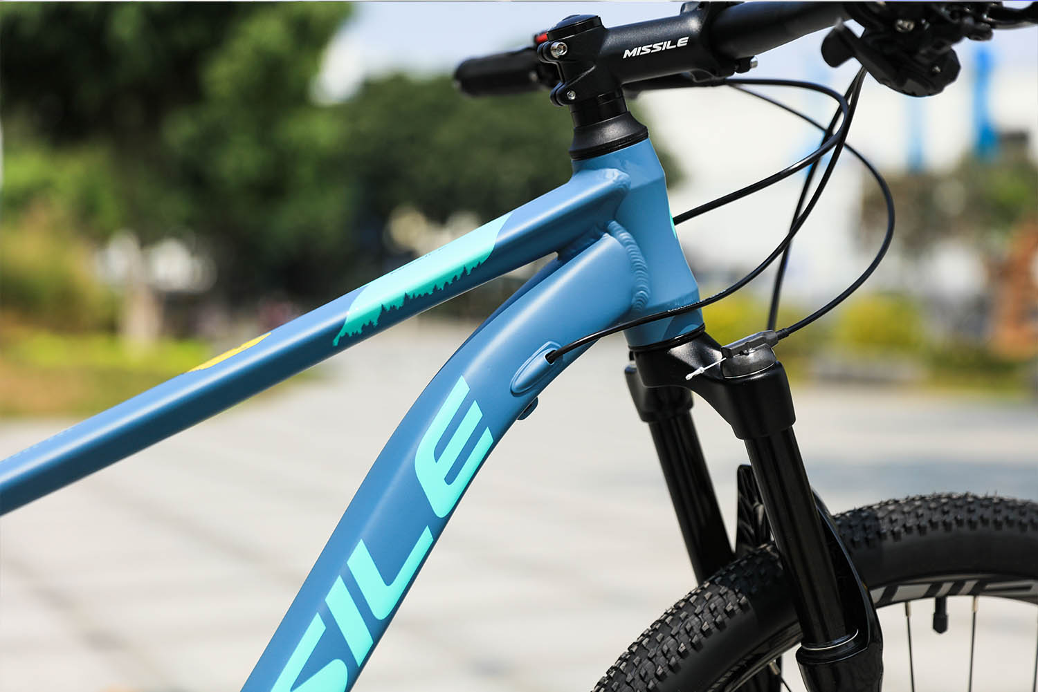 Durable 11speed Oil Brake Mountain Bike with High Cost Performance and Ordinary Pedal