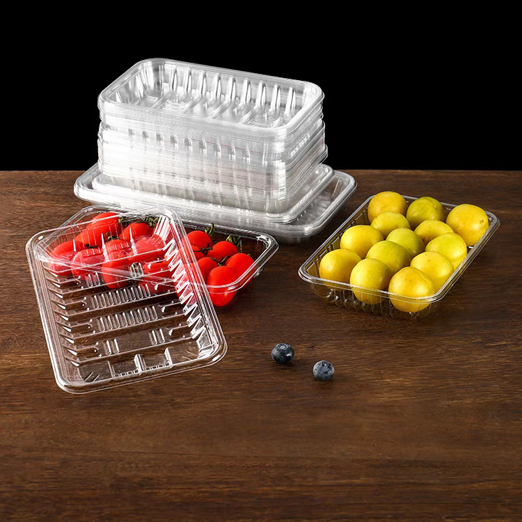 Supermarket PET Blister Frozen Food Tray Food Grade Disposable Meat Tray