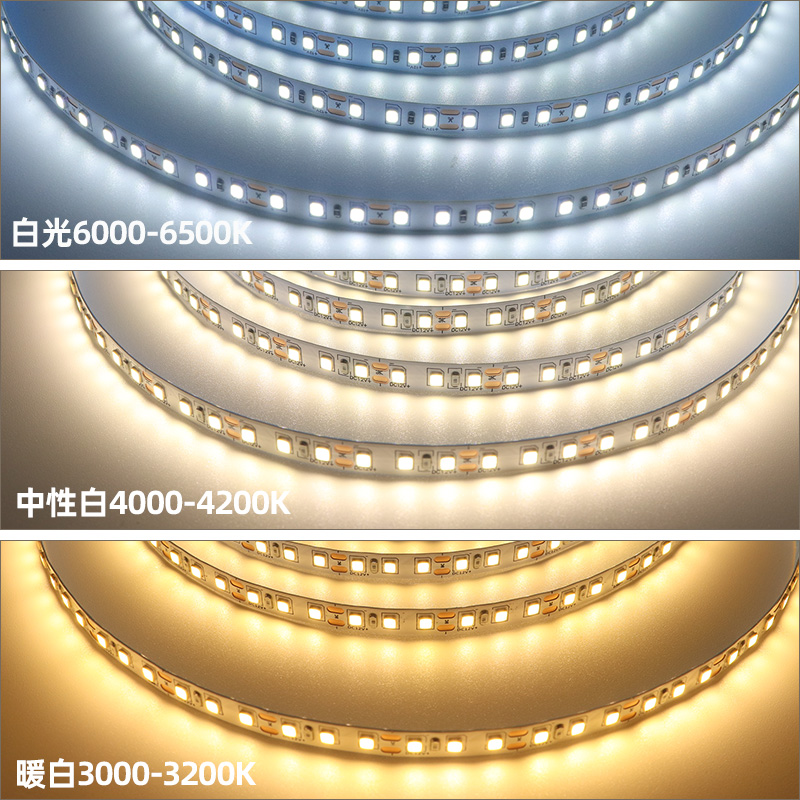 10mm 240leds Self Adhesive LED Strip 22W/M Warm White Cool White Led Strip