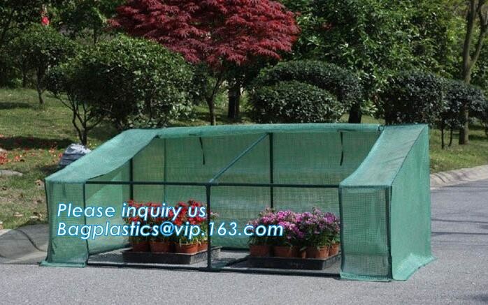 Agricultural Glass Green House for Commerical,Pop up Greenhouse Eco-friendly Fiberglass Poles Overlong Cover 98"x49"x53"