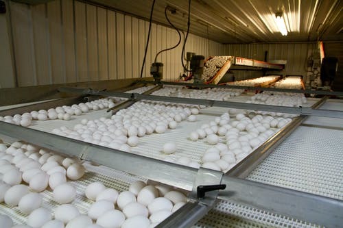 Hot Sale 1285 Type Modular Conveyor Belt for Food Industry