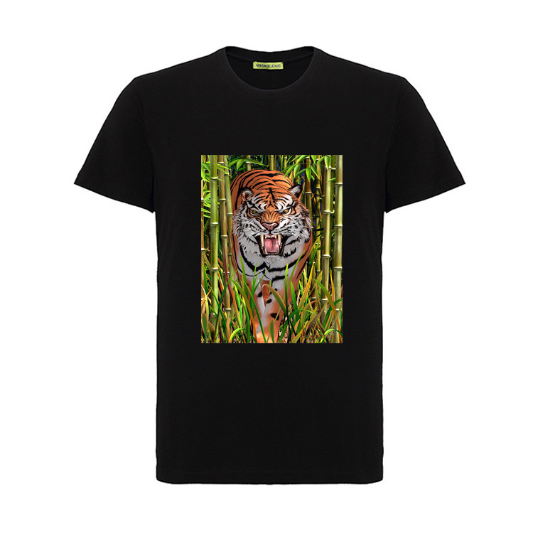 3D Lenticular PET Picture With Soft TPU For T-Shirt Or Custom Design