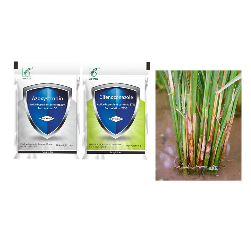 Bactericide Producer Kill Watermelon Fusarium Wilt Apple Scab Pesticide 25% Azoxystrobin SC