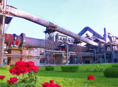 Daily Capacity 5000 - 12000t Cement Rotary Kiln For Cement Plant Complete
