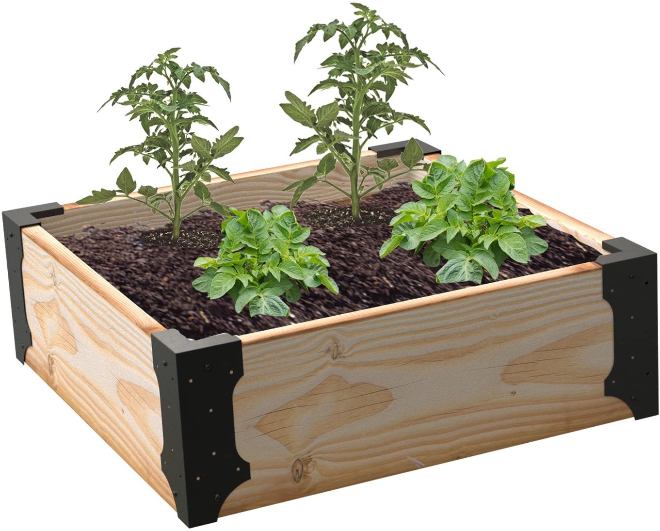Garden Plant Corner Bracket for Raised Garden Powder Coated and Long-lasting Metal