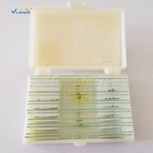 Laboratory Educational 15pcs Microscope Glass Slides