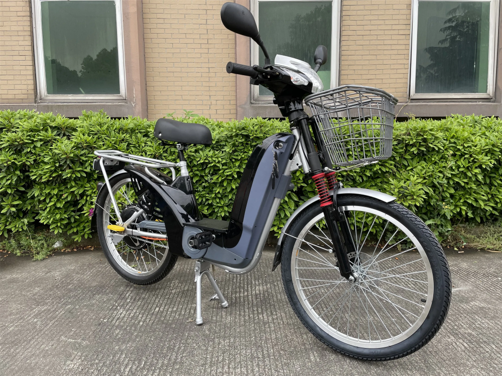 48V 12Ah 350W Electric Cargo Bike For Adults Power Supply Lead Acid Battery