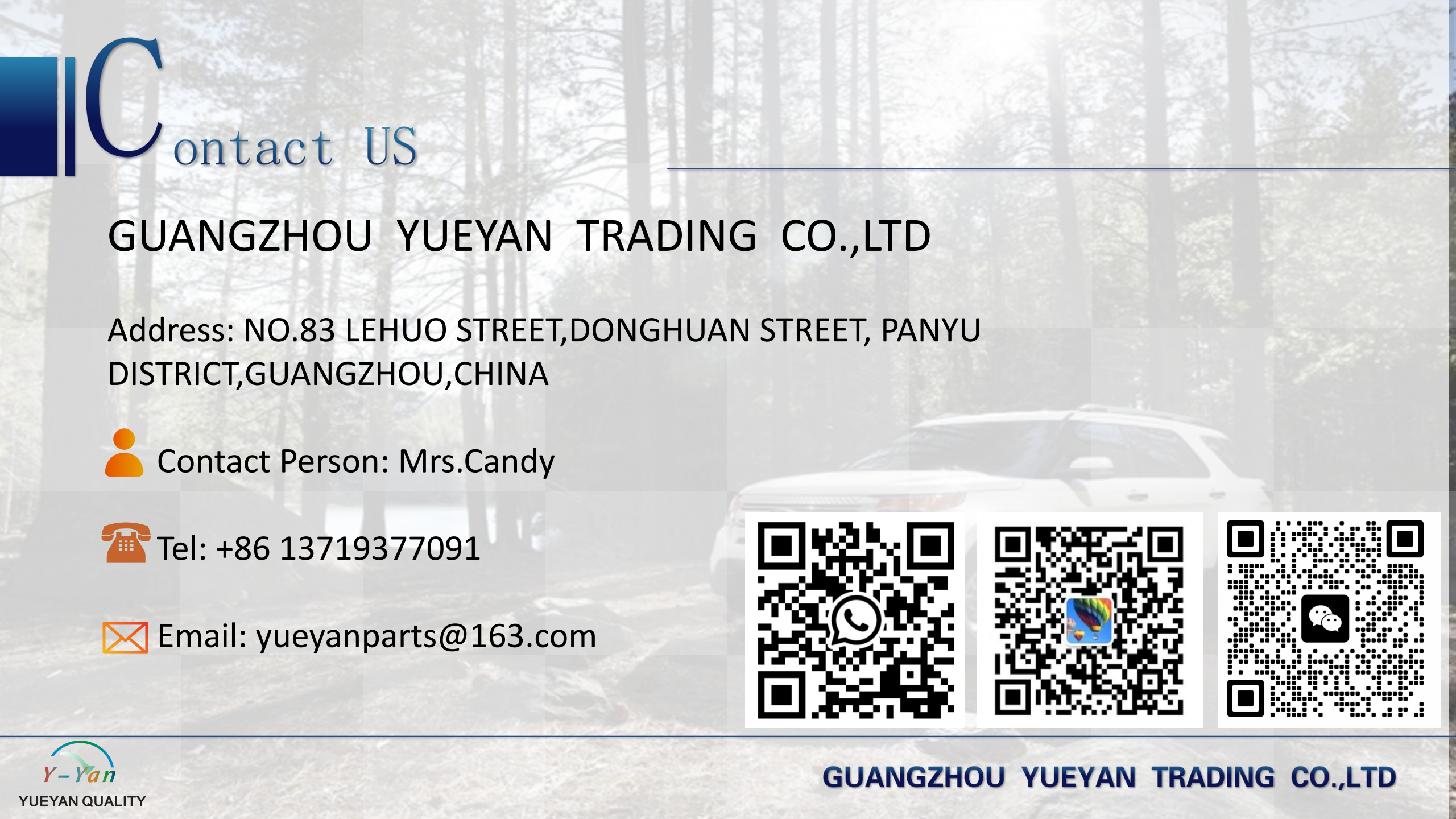 32206JR Tapered Roller Bearing Chrome Steel Single Row Bearing