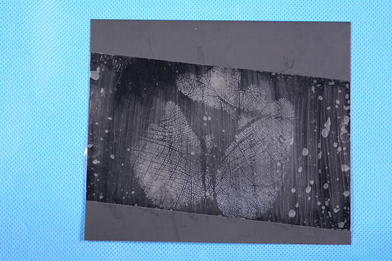 C153 80mm Palm print lifting tape