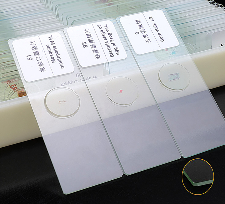 Prepared Higher Education 100pcs Microscope Slides Set For Students
