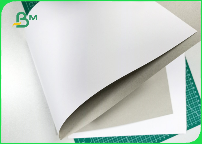 200gsm - 800gsm excellent toughness ink absorbability Duplex board in sheet / roll