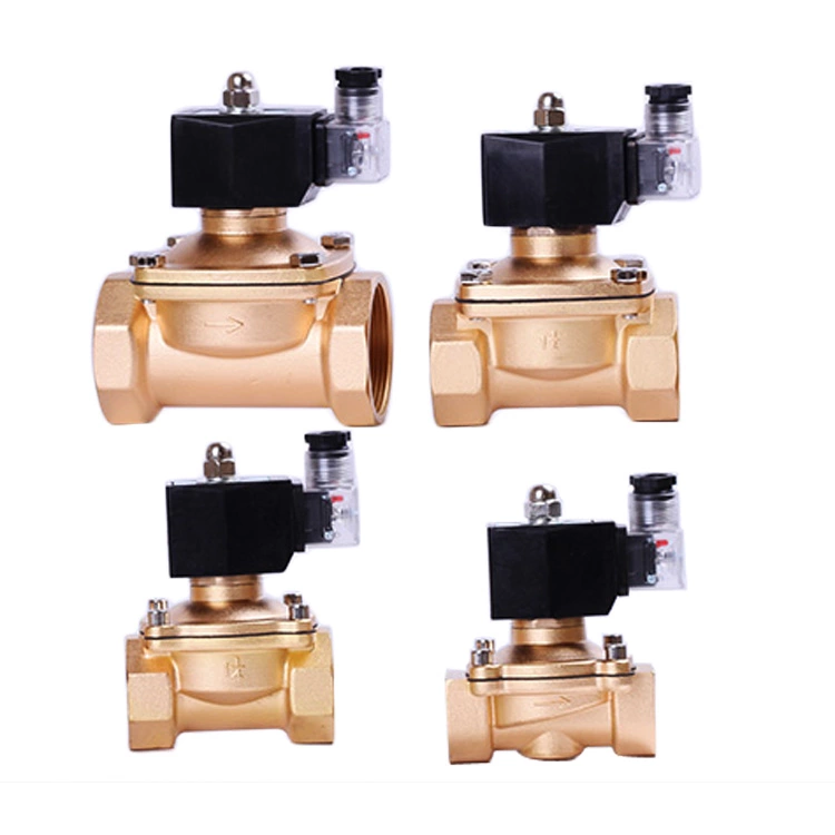 6013  Type 1/4'' NPT 2/2 Way Direct Acting Plunger Operated Brass Solenoid Valve 4